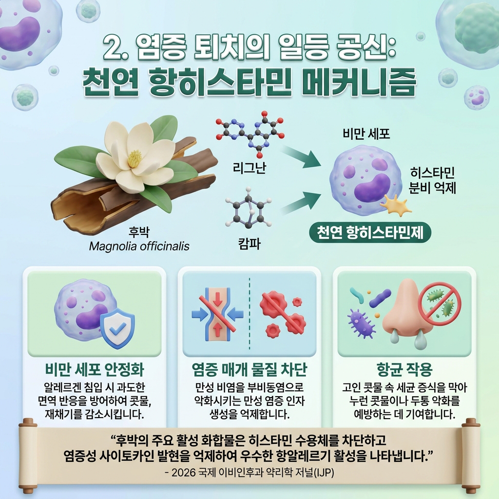 염증 잡는 1등 공신, 천연 항히스타민 기전