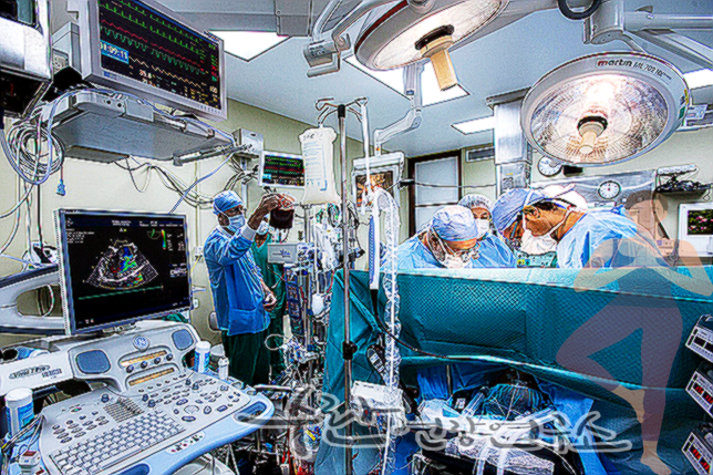 맹장염 초기증상