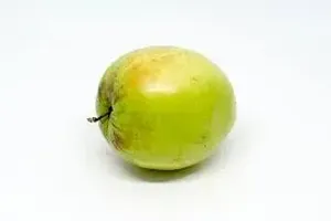 대추