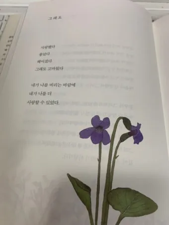 추억에 관한 시모음 세월 추억에 대한 명언 추억에 대한 시로_13