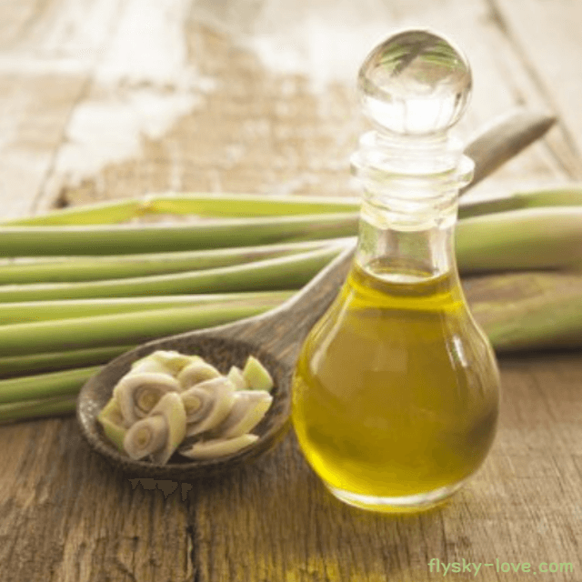 레몬그라스 (Lemongrass), 레몬그라스 오일