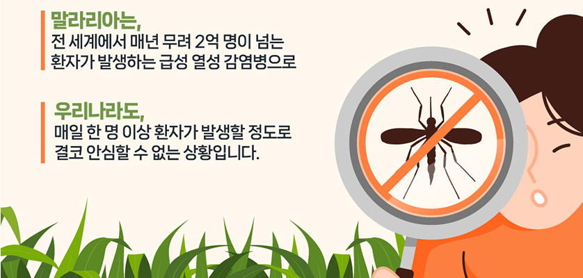 말라리아설명이미지