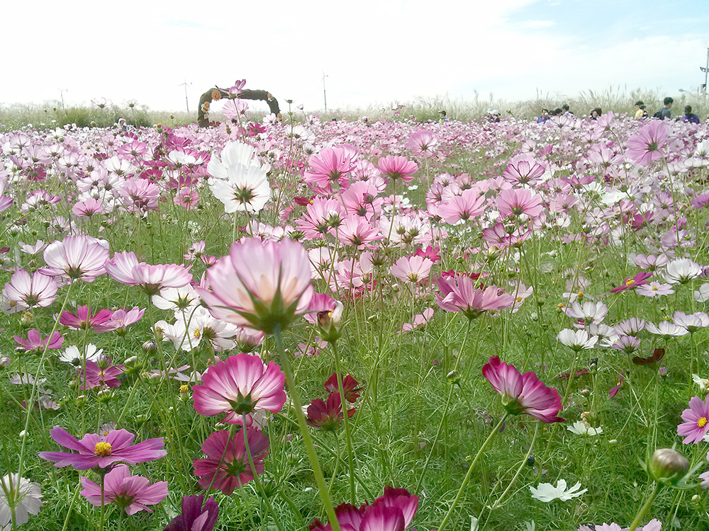 노을공원에서 하늘공원까지 
