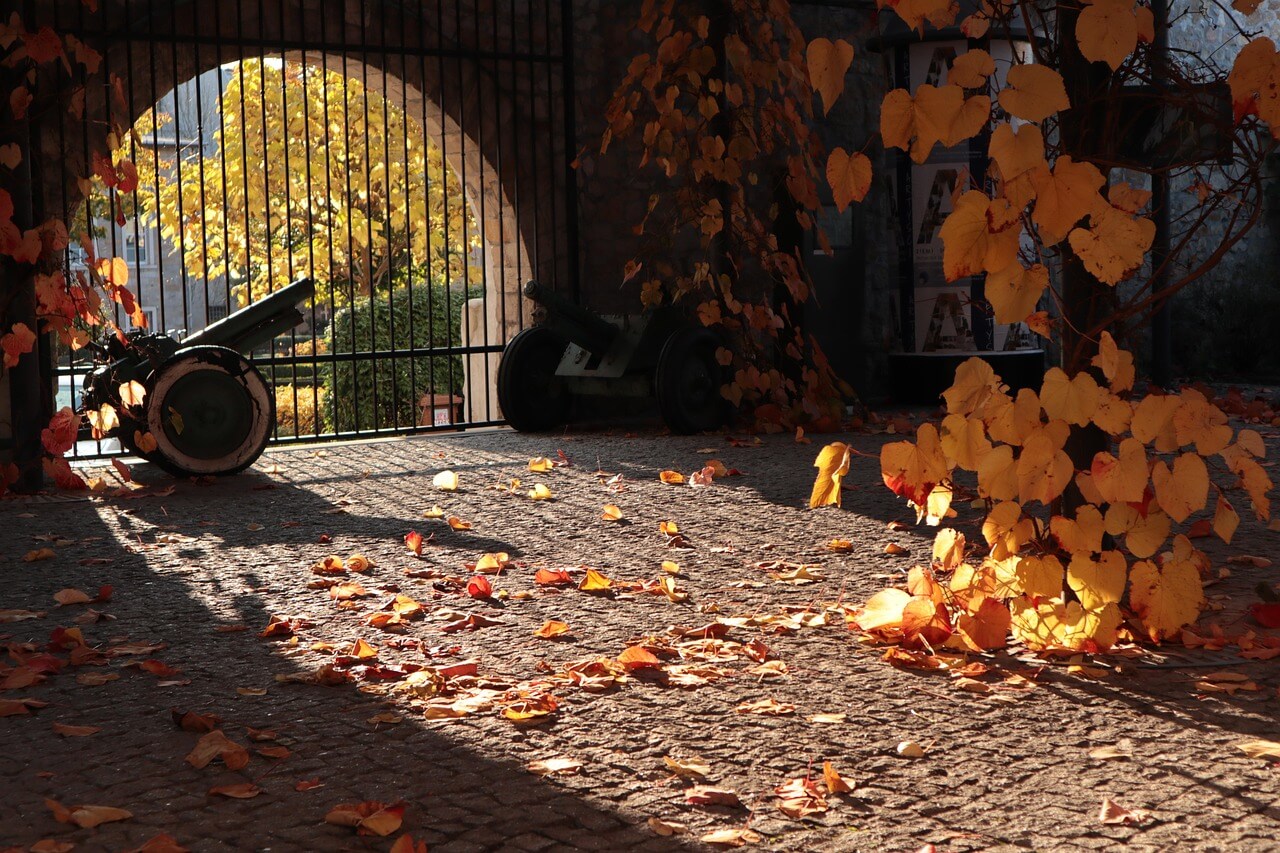 예매처별 할인권 사용 조건 비교