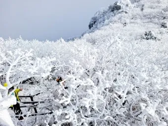 덕유산 등산코스 지도 곤돌라 구천동계곡 가족 트레킹 추천_19
