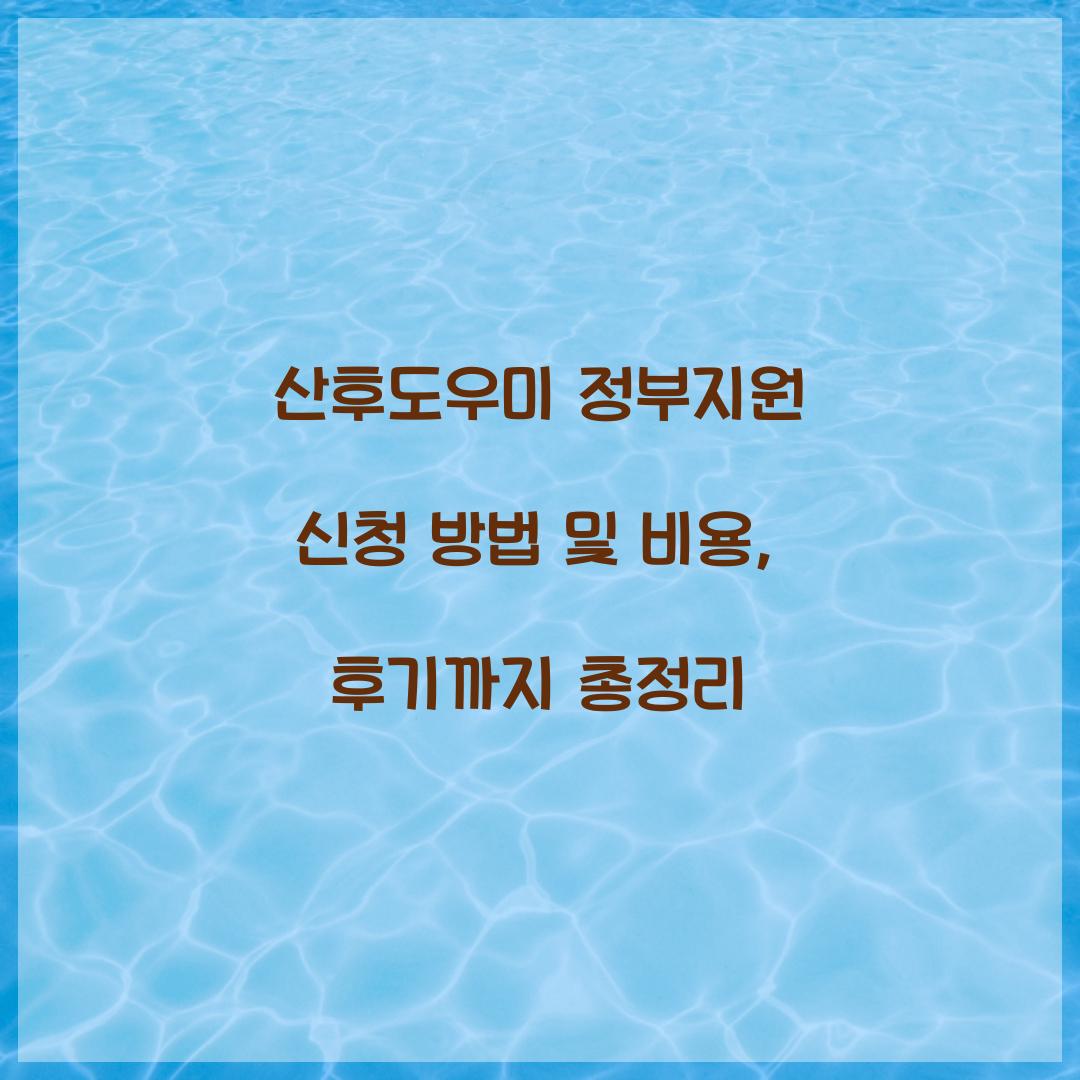산후도우미 정부지원