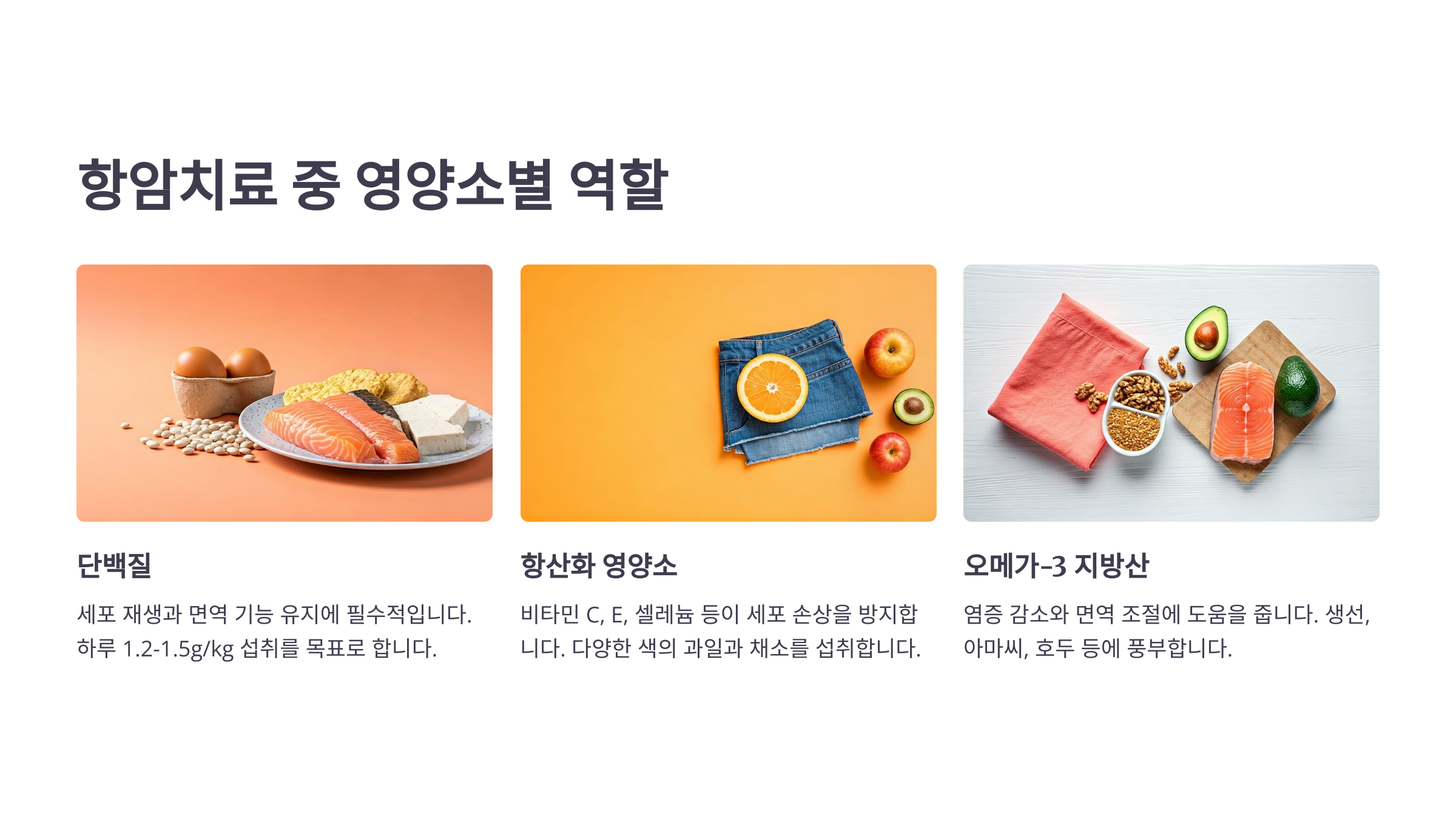 대장암 항암치료 중 영양소별 역할