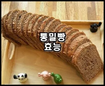 통밀빵 효능 칼로리 샌드위치 레시피_12