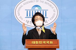 김진애 국회의원 정치 경력