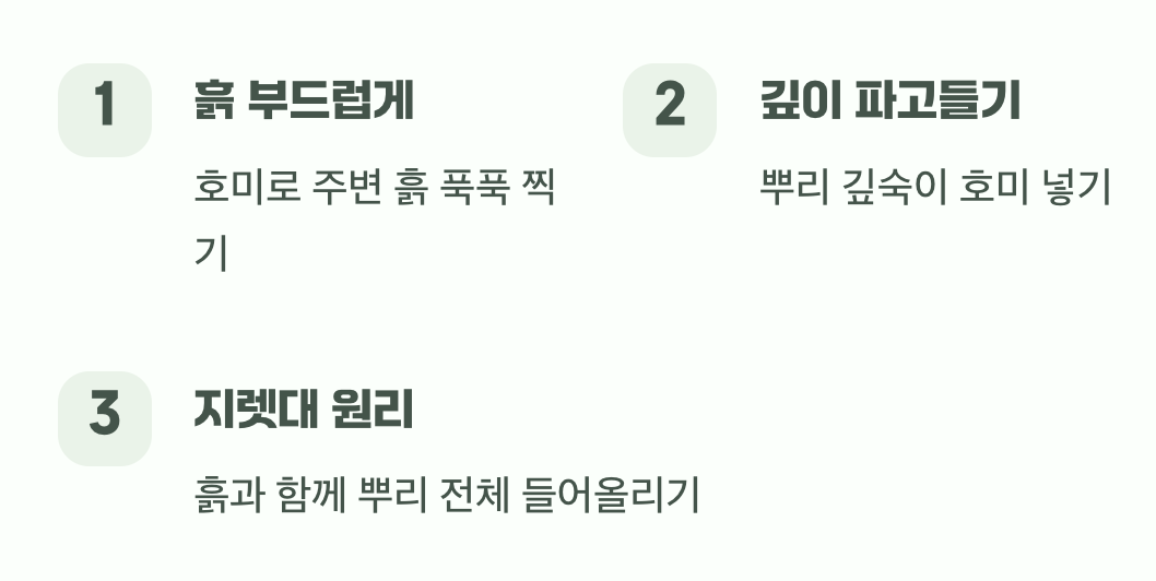 호미 한 자루로 뿌리까지 제압하는 법