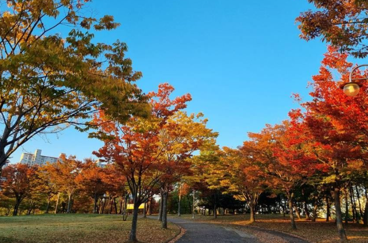 안산 호수공원 단풍 가을 여행 추천드립니다.