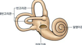 이석증