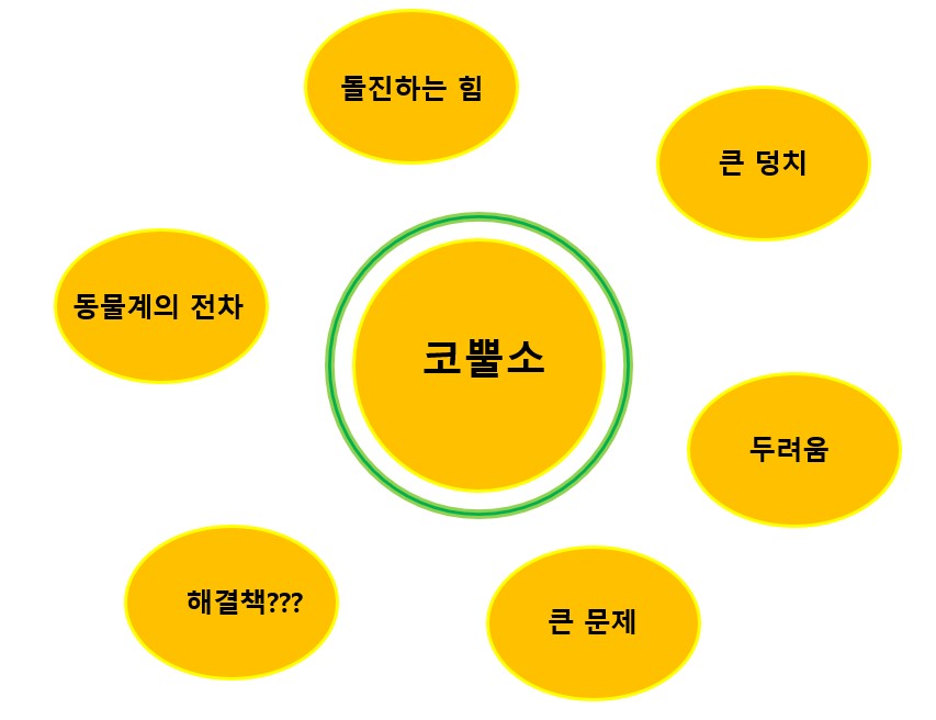 회색 코뿔소