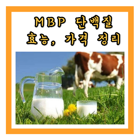 MBP 단백질