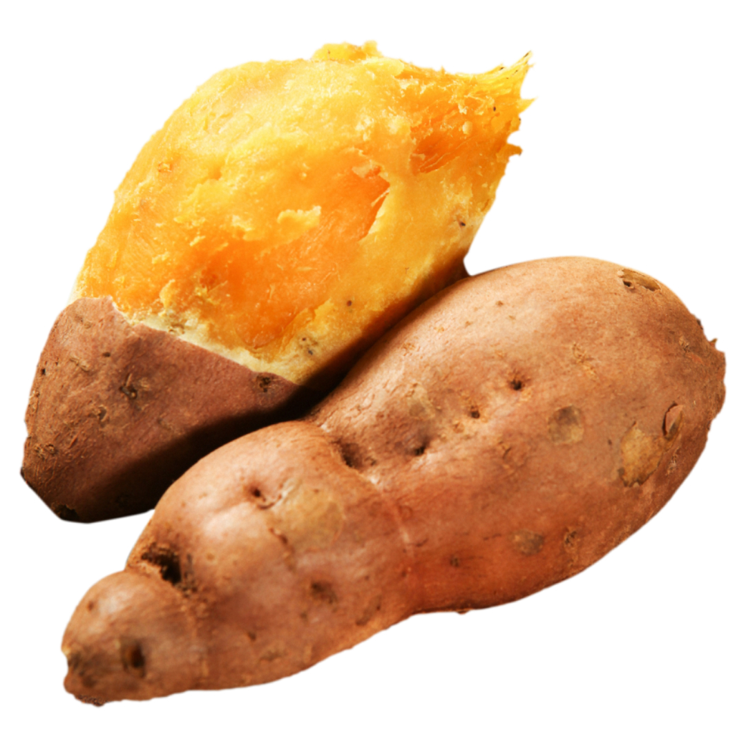 골다공증과 관련된 사진입니다.