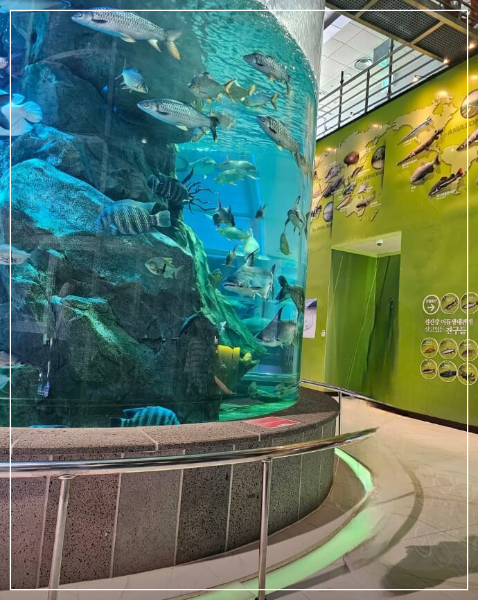 곡성 가볼만한곳 베스트10 섬진강 어류생태관