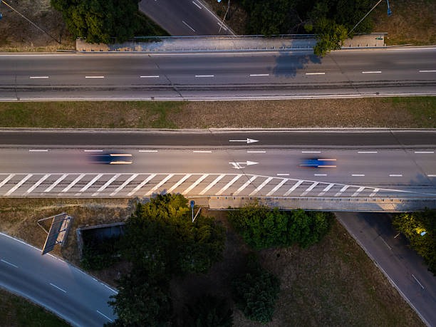 광복절-특사-음주운전-발표