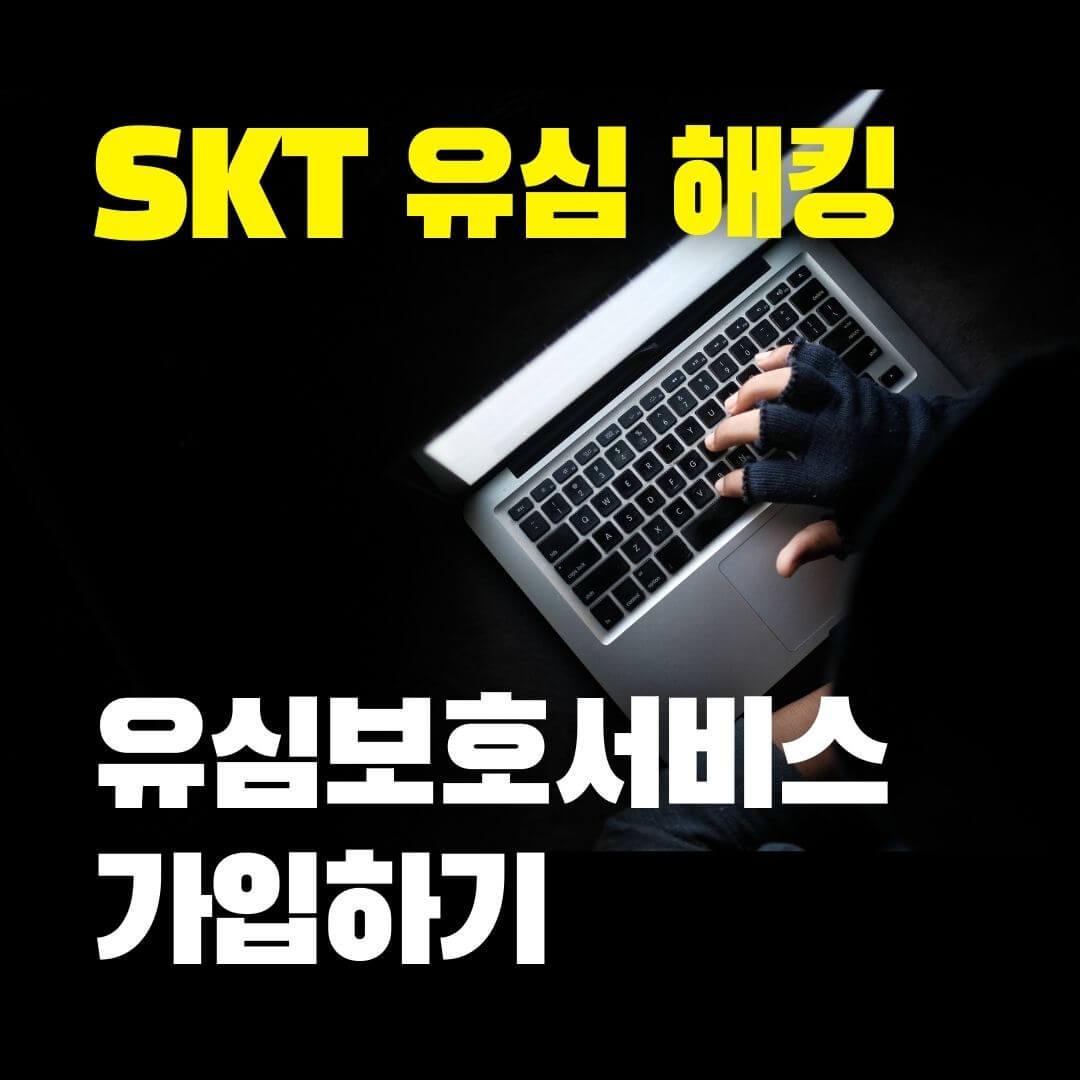 skt유심보호서비스가입하기