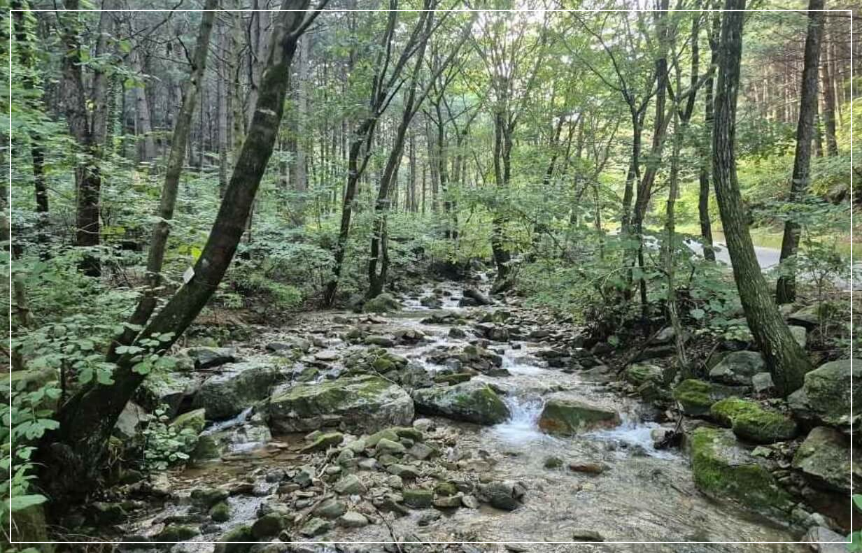 양평 가볼만한곳 베스트10 산음 자연휴양림