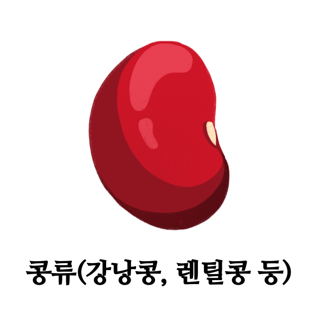 단백질-많은-음식