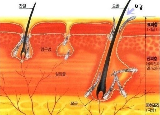 모공 관리
