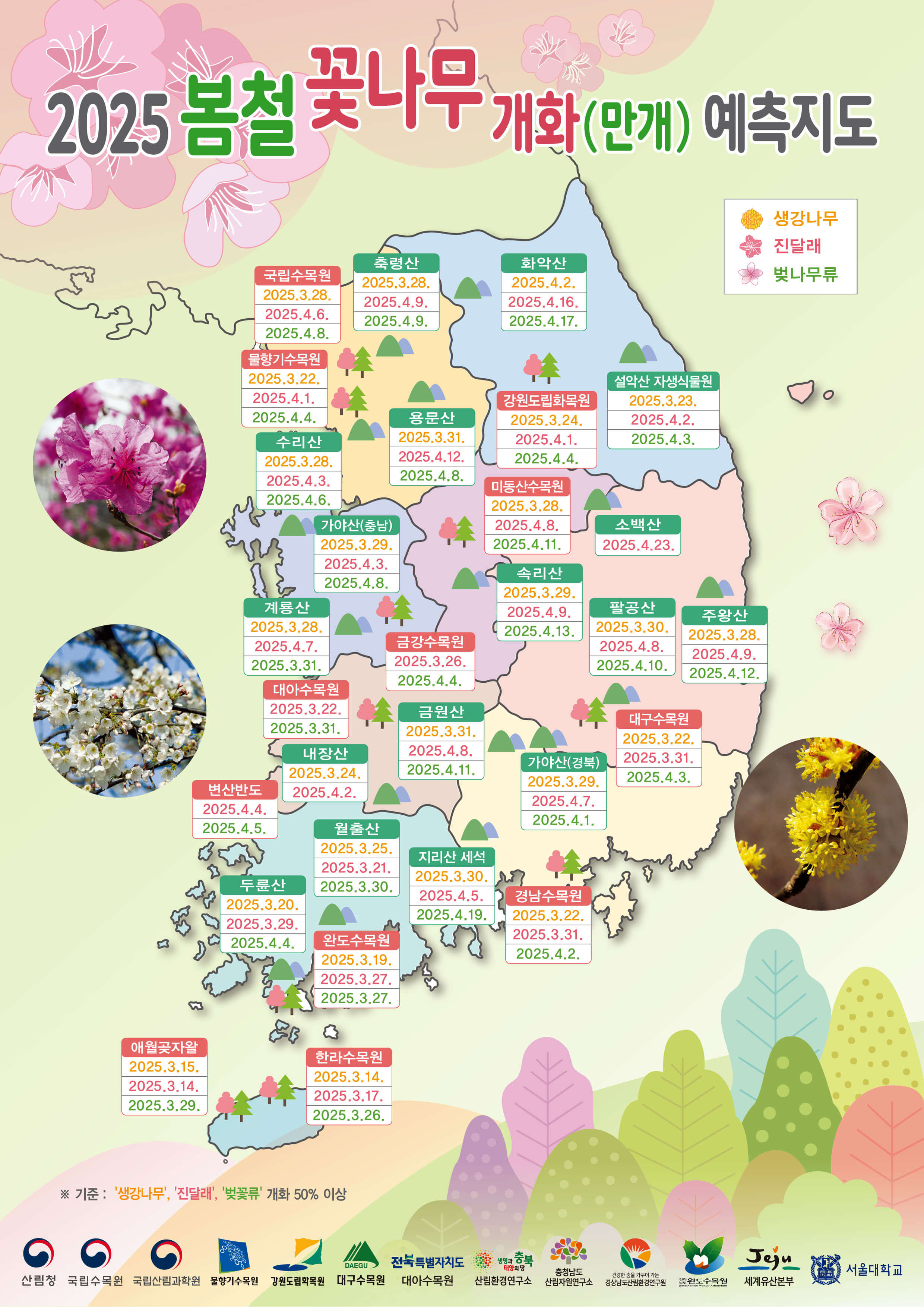 2025 산림청 봄꽃 예측지도