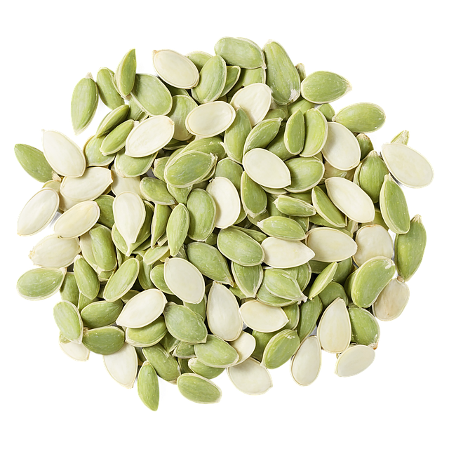 바질씨앗 관련 사진