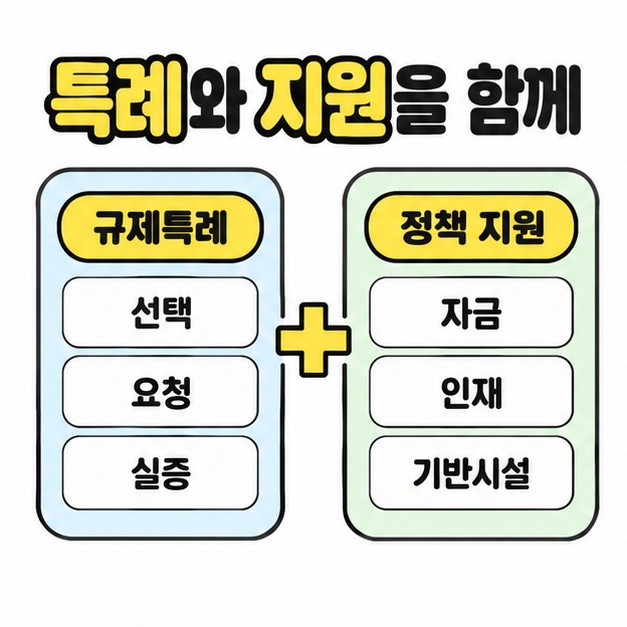 선택과 요청 및 실증으로 요약한 규제특례에 자금과 인재 및 기반시설의 정책 지원을 더하는 도식