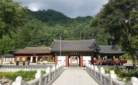 불국사 전경