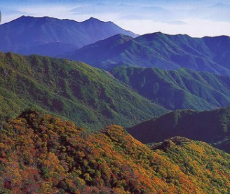 2024년 단풍절정시기