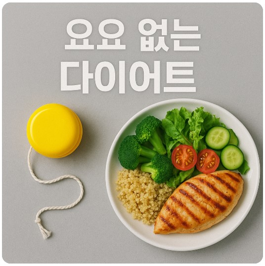 요요 없는 다이어트 이미지