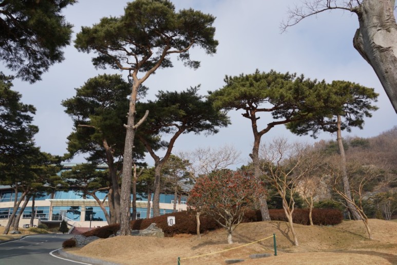 아크로 CC 전남 골프장 실외 스포츠 취미 골프