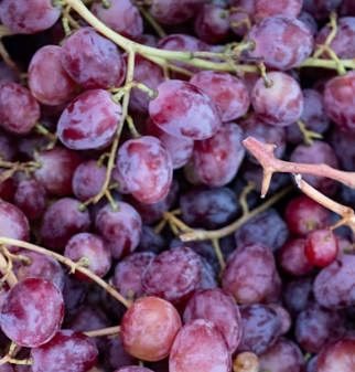포도 효능 부작용