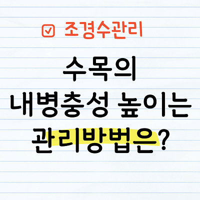 내병충성 높이는 관리방법