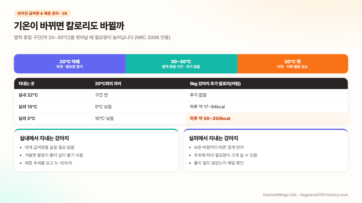 기온과 강아지 칼로리 도식 — 열적 중립 구간 약 20~30℃, 실내견과 실외견의 차이