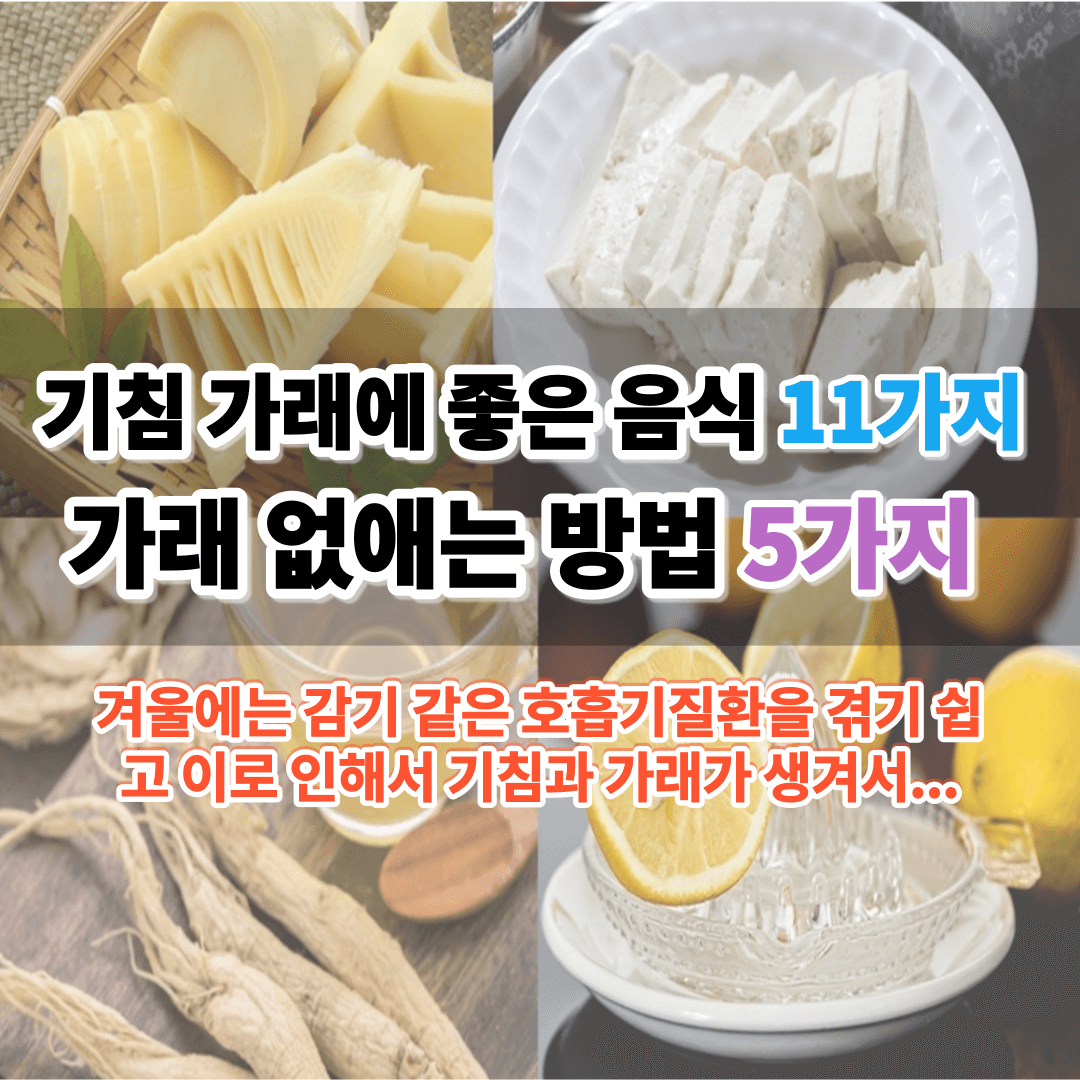 기침 가래에 좋은 음식 가래 없애는 방법