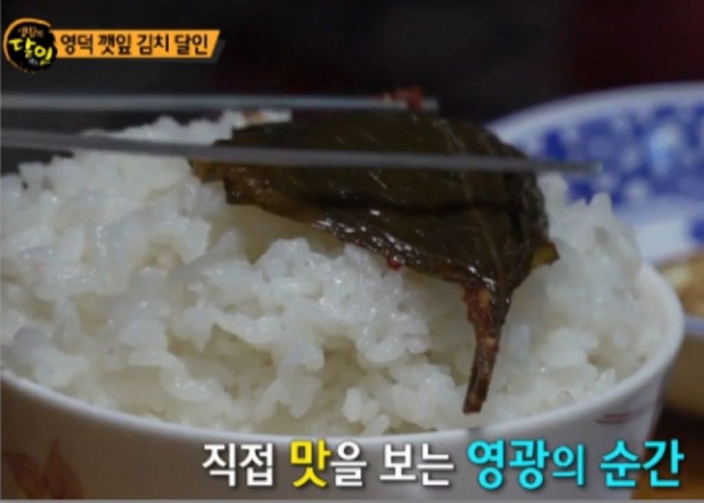 한국기행-영덕-깻잎-김치-김위자-천희득