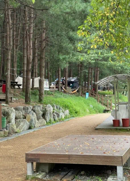 강원도, 아이와 함께 가기 좋은 횡성 계곡 TOP3