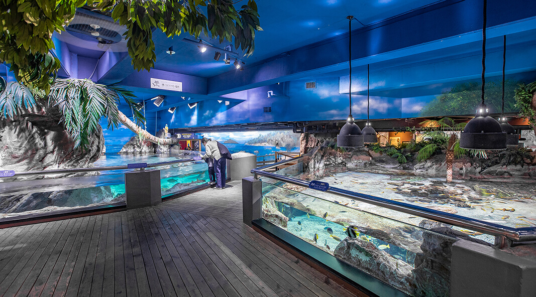 [당일치기] 코엑스 아쿠아리움 놀거리&amp;주차&amp;이벤트&amp;할인혜택