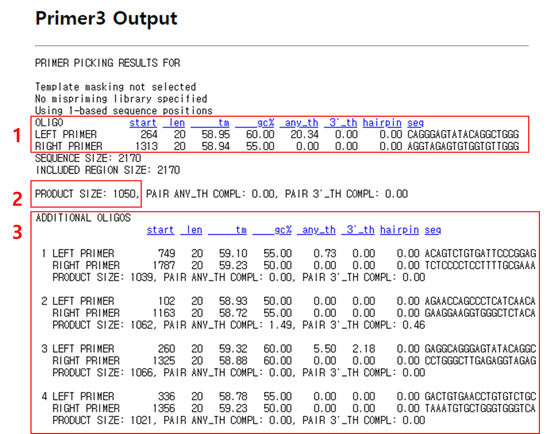 Primer-3-Output