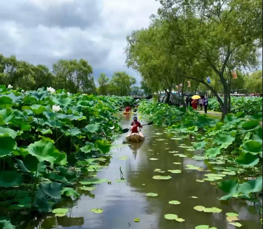 부여서동연꽃축제