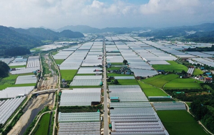 성주 가볼만한곳 베스트10