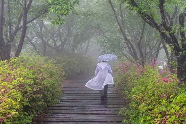 장마 대비 방법