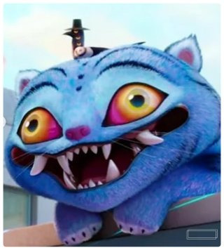 매기 강 감독 작품 활동