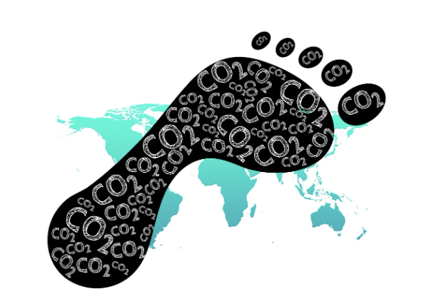 탄소 발자국에 관한 이야기