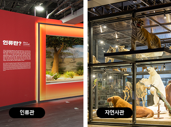 과학관2