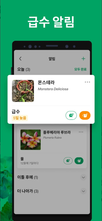 꽃 이름 검색, 꽃 이름 식별 앱