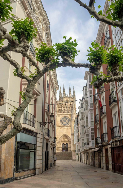 20대 직장인 여행지