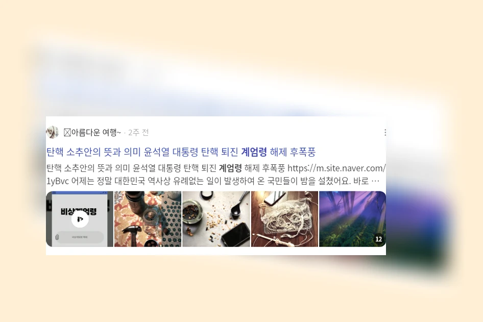 계엄령_3_subsection