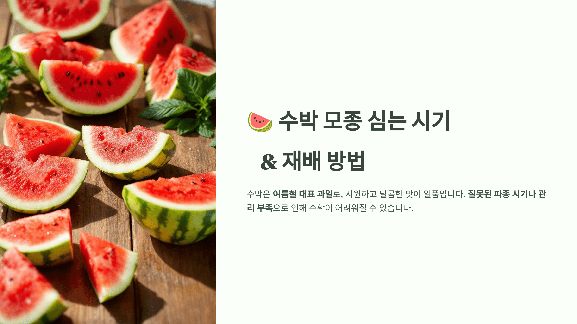 수박 사진입니다.